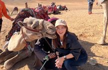 All Inclusive - Giza Pyramids , Sphinx- GEM ,Bazaar Shop , Lunch