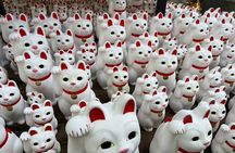 Tokyo: An Unique temple Walking Tour for cat lovers