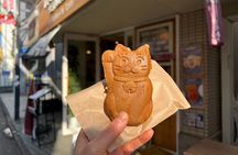 Tokyo: An Unique temple Walking Tour for cat lovers