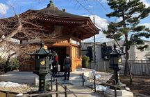 Tokyo: Gotokuji Culture Walk & Lucky Cat Temple Experience