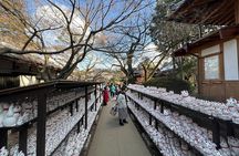 Tokyo: Gotokuji Culture Walk & Lucky Cat Temple Experience