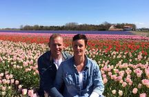 Private Tulip Museum Garden Windmill and Cheese Tasting Tour 