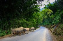 3 Days Sapa Trekking - Homestay & Hotel