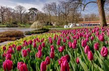 Keukenhof and Zaanse Schans Windmills Day Trip from Amsterdam