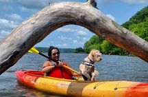 2 Hours Starved rock Tandem Kayak Rental