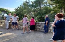 Nice : Old Town and Castle Hill Walking Tour