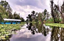 Explore Xochimilco’s Canals, Markets, Art & Anahuacalli Museum