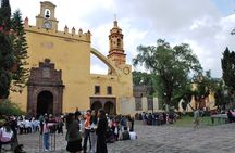 Explore Xochimilco’s Canals, Markets, Art & Anahuacalli Museum