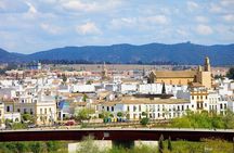 Cordoba Patios Private Walking Tour With A guide
