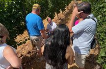 Bed and Breakfast Wine Tour - Small Group, Joinable/Sharable