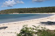 Isla de Vieques Beach Hopper Sightseeing Tour
