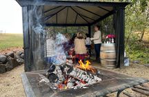 Private Wine Excursion Willamette Valley, Oregon - Wine Tour