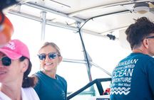 Maui Eco-Raft Tour: Eye-Level Whale or Dolphin Watching - Lahaina