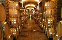 Half Day Tour of Wineries and Olive Oil with Lunch from Mendoza