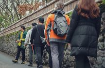 Yufuin Onsen Private Guided Walking Tour