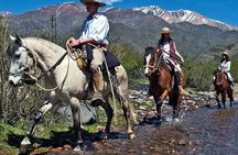 Horseback Riding with traditional Asado and Wine from Mendoza