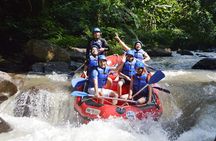 Bali Ayung River Rafting and Tanah Lot Temple Sunset Private Tour