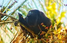 Bacalar : Private Tour to the Mayan Temple of the Sun. Professional Guides