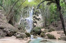 Oslob Whale Shark Watching + Kawasan Falls Day Tour