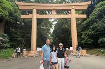 Tokyo Highlights in 2 Hours: Customizable Private Walking Tour