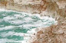 Jerash and Dead Sea Full Day Tour from Amman