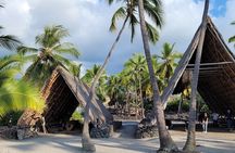 Private Kona Cruise Ship Excursion Kona up to 14 People