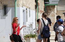 2 Hours Culture and Street Art Tour in Fremantle