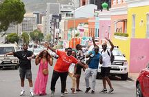 Private Sightseeing Tour to Table Mountain Penguins Cape Point