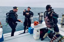 Snorkeling and Diving to Ras Mohamed And White Island by VIP Boat
