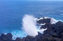 Private Full Tour of Reunion Island with Driver Guide