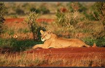 3 Days & 2 Nights Tsavo East & West by Humphrey Ndungu Tour's