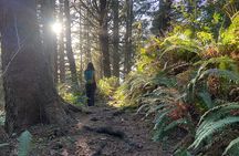 Cannon Beach Hiking Tour on the Oregon Coast