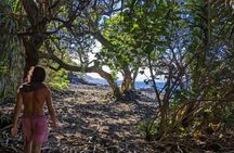Secret Tide Pool Hike - Jungle & Coast - Private