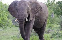 Sossusvlei, Swakopmund and Etosha National Park (Camping)7 D/6 N