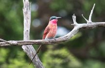 Kruger National Park - 3 Days (Open Vehicle) - Rondawels