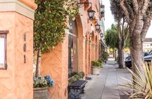 Private Half Moon Bay Coastal Delights Driving Tour