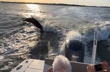 Marco Island Dolphin & Eco Tour – Private 2 Hour Wildlife Cruise