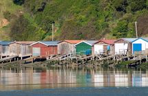 Akaroa & Banks Peninsula from Lyttelton(Private Shore Excursion)