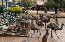 4 Days Tour to Pink Lake Kalbarri, Margaret River and South West 