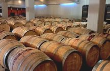 Knossos Palace Wine Raki & Olive Oil tasting in Heraklion 