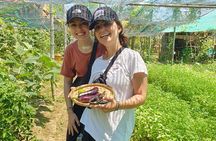 Rural Hoi An Cycling, Cooking Class at Organic Farm