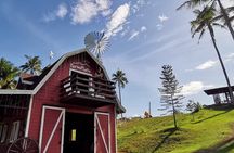 Ultimate Full Day Albay Bicol Philippines Tour with Mayon Skyline