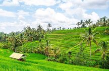 Tanah Lot Tour & North Bali Tour : All-Inclusive Best Experience