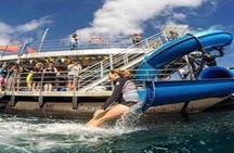 Fly in and Fly out Great Barrier Reef Cairns Day Tour