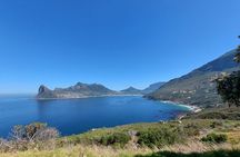 Half day African Penguin Tour