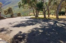 Half day African Penguin Tour