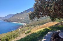 Half day African Penguin Tour