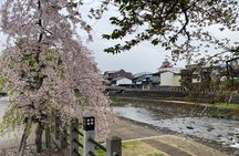 Half-Day Takayama Walking Tour with an English Speaking Guide