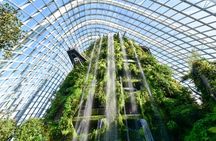 Singapore in Motion: Flyer, River and Garden