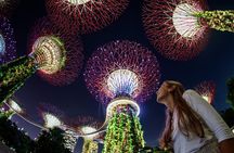 Singapore in Motion: Flyer, River and Garden